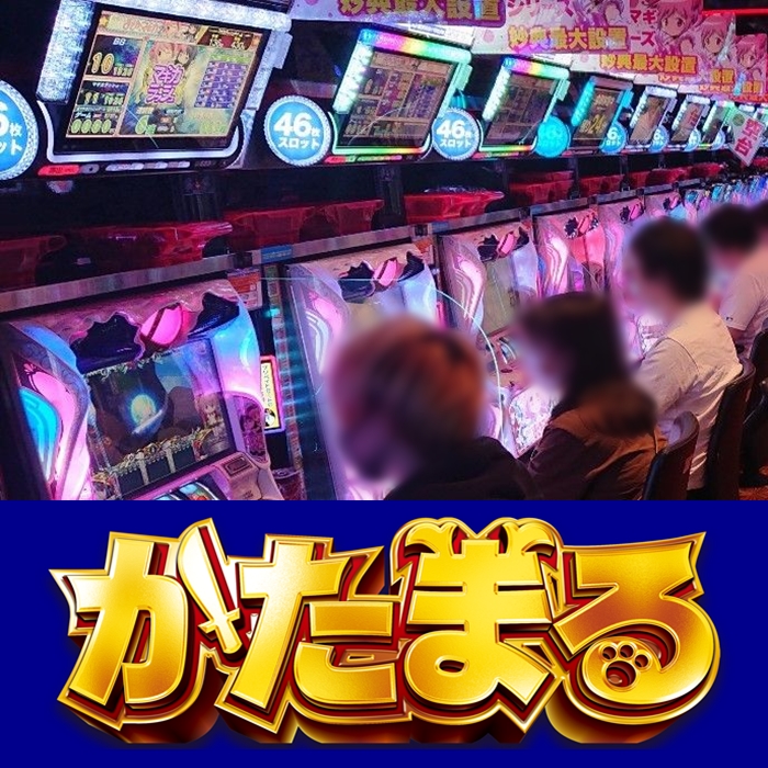 かなぴ〜⭐︎千葉MGMエリア長 | 好評稼働中のマギアに続け